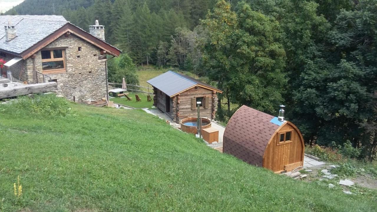 萨伊恩特-雷米-恩-博塞斯Nuit A Pleiney住宿加早餐旅馆 外观 照片