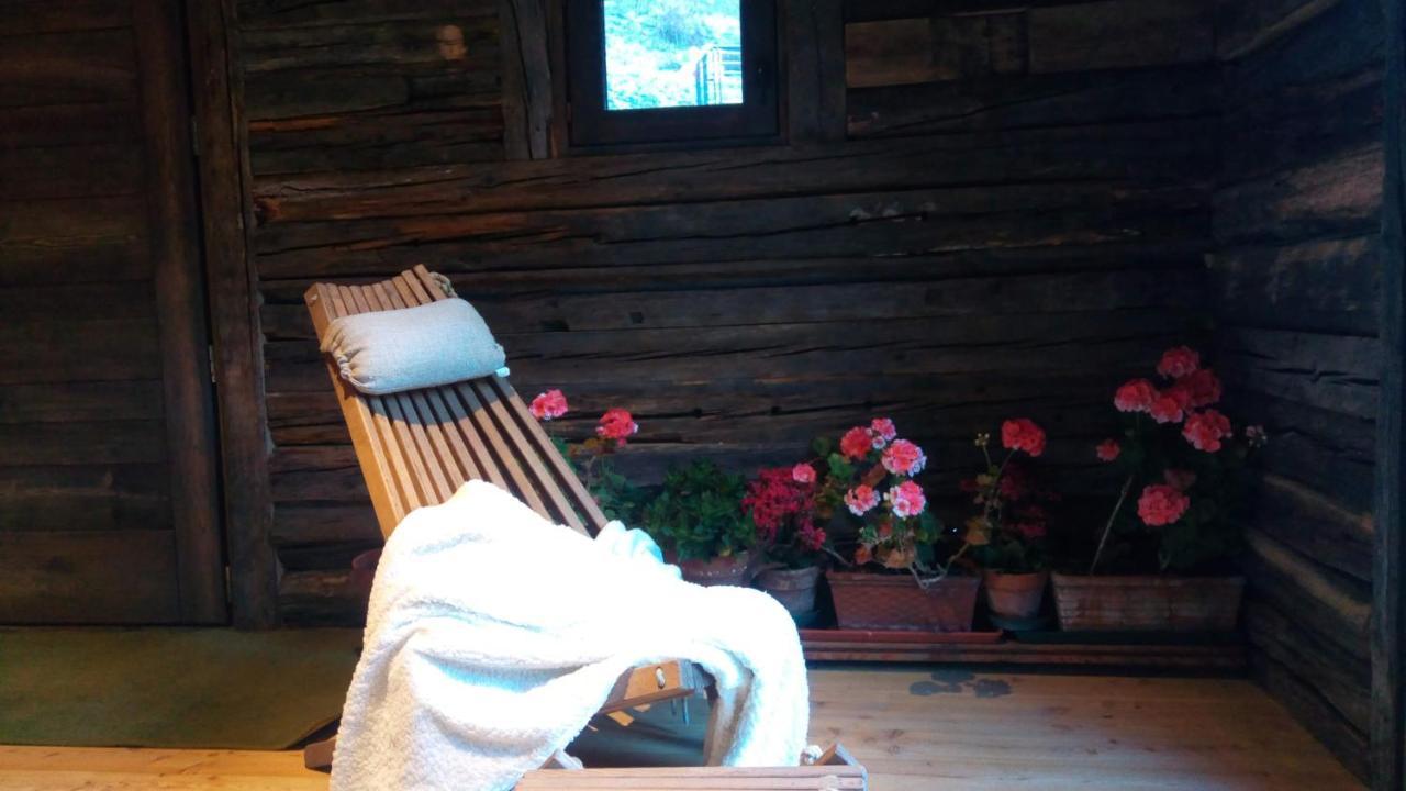 萨伊恩特-雷米-恩-博塞斯Nuit A Pleiney住宿加早餐旅馆 外观 照片